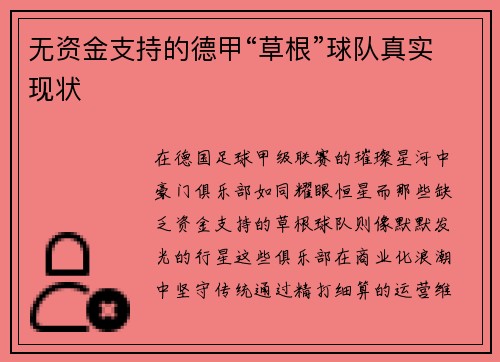无资金支持的德甲“草根”球队真实现状